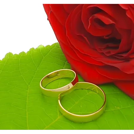 ZŁOTE OBRĄCZKI PRÓBA 585 PÓŁOKRĄGŁE 5mm Grawer