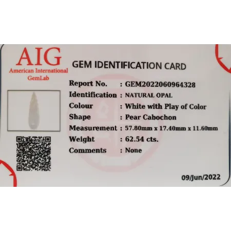 Opal Naturalny 62,54ct + Certyfikat