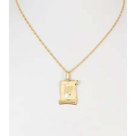 ZŁOTA 585 ZAWIESZKA DUŻY ZNAK ZODIAKU WODNIK 