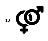 Symbol 13